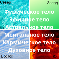 Тела по направлениям.png